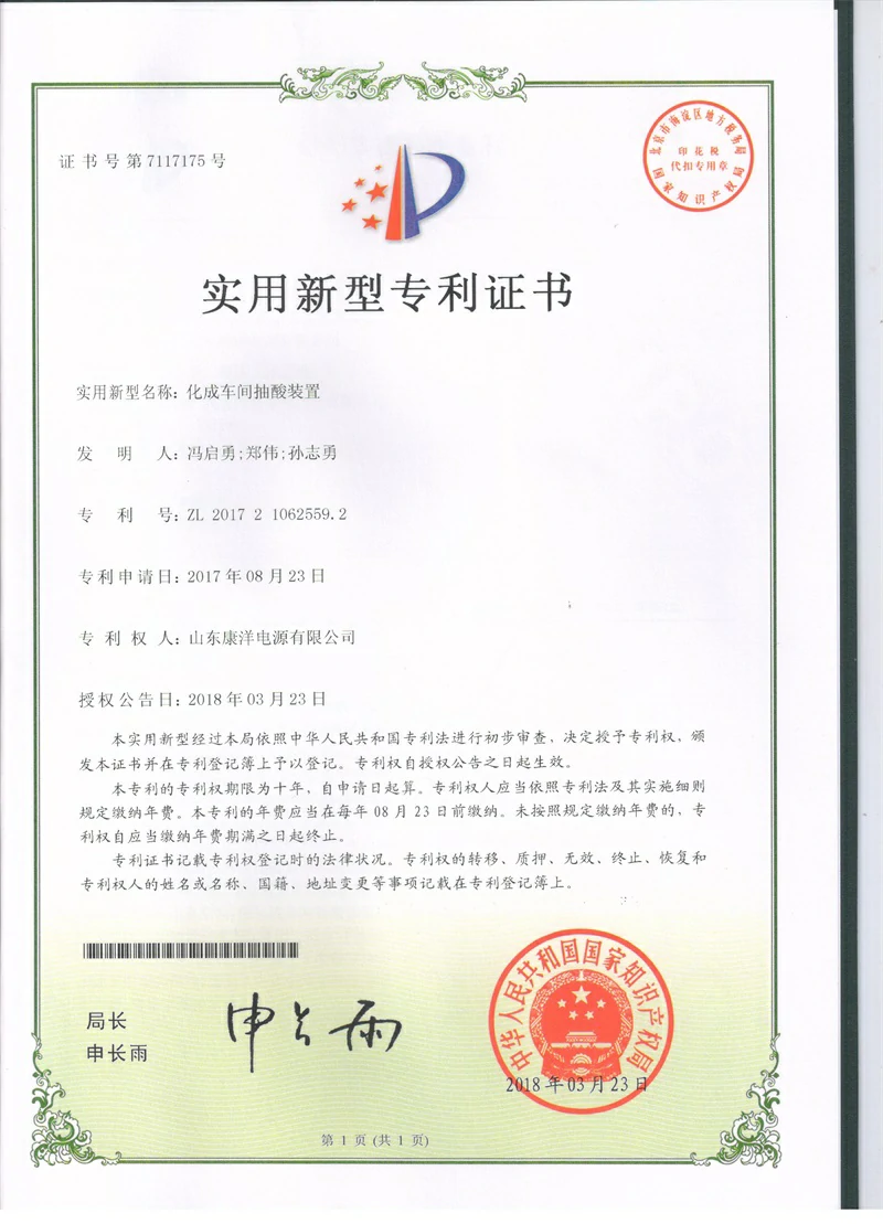 Patent certificate 11
